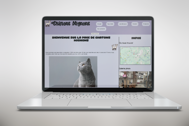 Site web non responsive avec base de données