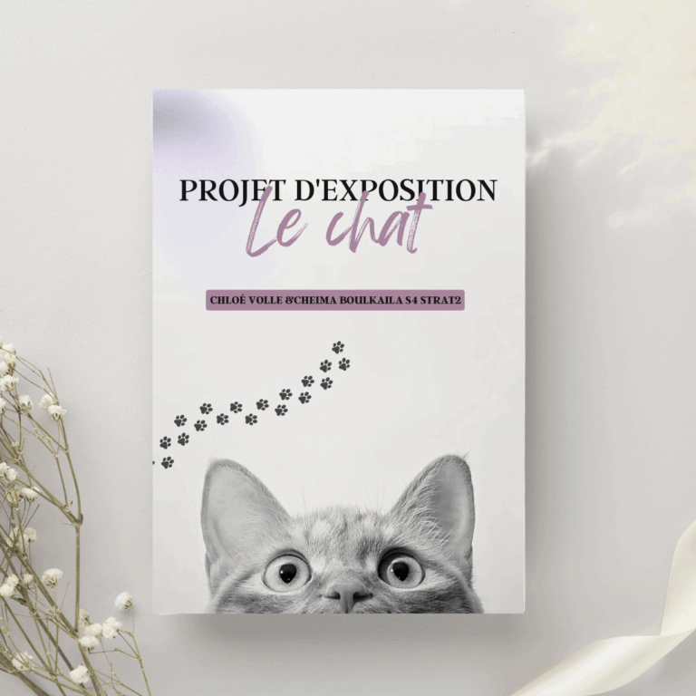 Projet d’exposition